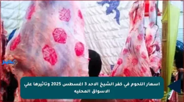 أسعار اللحوم في كفر الشيخ الأحد 3 أغسطس 2025 وتأثيرها على الأسواق المحلية